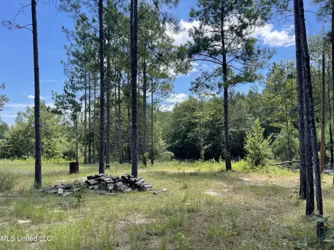 716 Michael Mcleod Rd, Mclain, MS 39456 photo 14