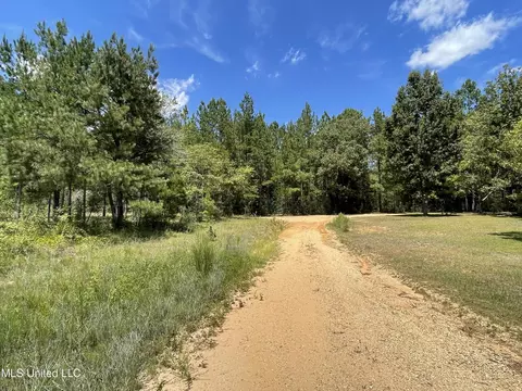 716 Michael Mcleod Rd, Mclain, MS 39456 photo 3