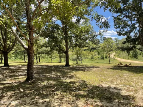 716 Michael Mcleod Rd, Mclain, MS 39456 photo 12
