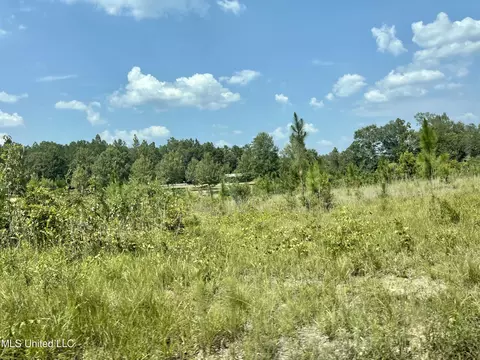 716 Michael Mcleod Rd, Mclain, MS 39456 photo 15