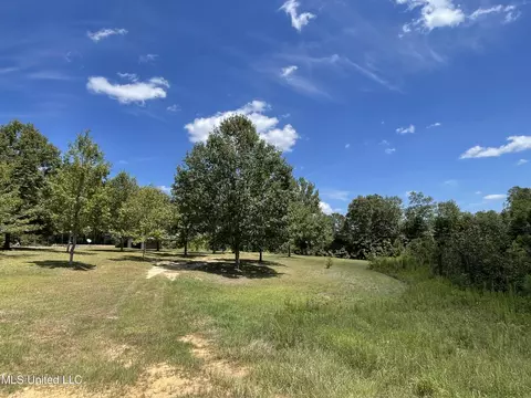 716 Michael Mcleod Rd, Mclain, MS 39456 photo 4