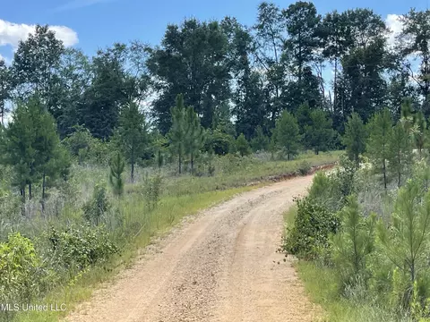 716 Michael Mcleod Rd, Mclain, MS 39456 photo 17