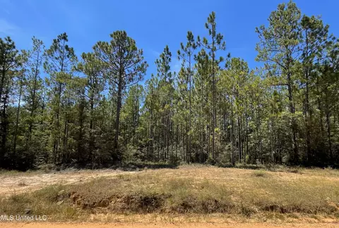 2 7 Acres Sand Ridge Rd, Mclain, MS 39456