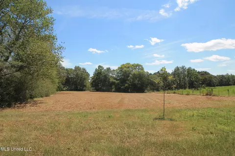 1102 Cecil Havard Rd, Lucedale, MS 39452 photo 4