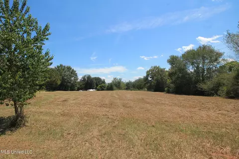 1102 Cecil Havard Rd, Lucedale, MS 39452 photo 3