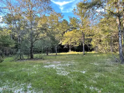 15 8 Acres Prison Ridge Rd, Leakesville, MS 39451