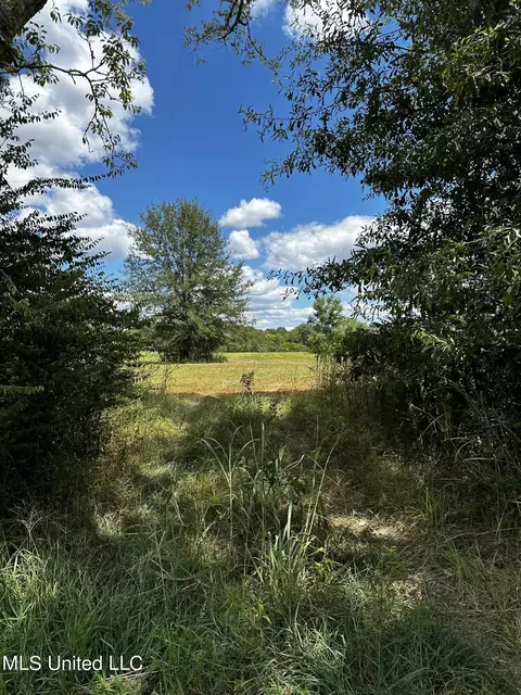 144 Moss Rd, Canton, MS 39046