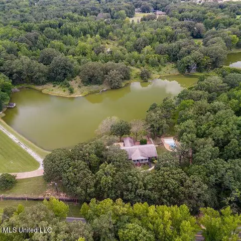 View/Area - 1595 Malone Rd, Nesbit, MS 38651 photo 2 of 14