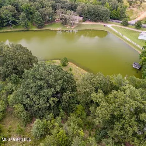 View/Area - 1595 Malone Rd, Nesbit, MS 38651 photo 7 of 14