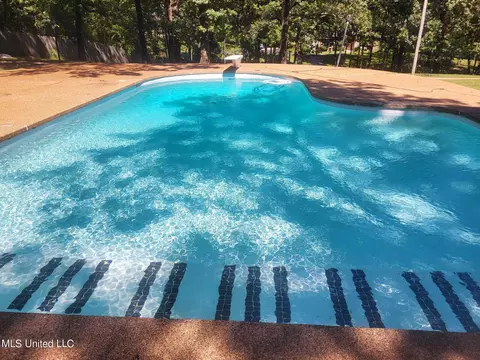 Exterior - 1595 Malone Rd, Nesbit, MS 38651 photo 36 of 36