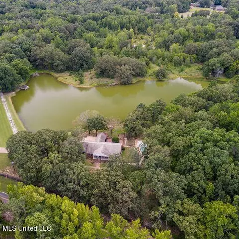 View/Area - 1595 Malone Rd, Nesbit, MS 38651 photo 12 of 14
