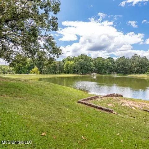 View/Area - 1595 Malone Rd, Nesbit, MS 38651 photo 11 of 14