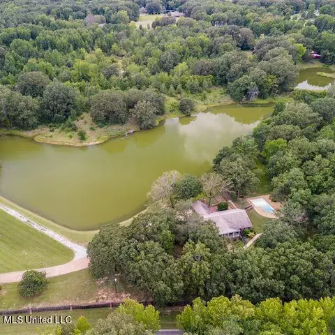 View/Area - 1595 Malone Rd, Nesbit, MS 38651 photo 10 of 14