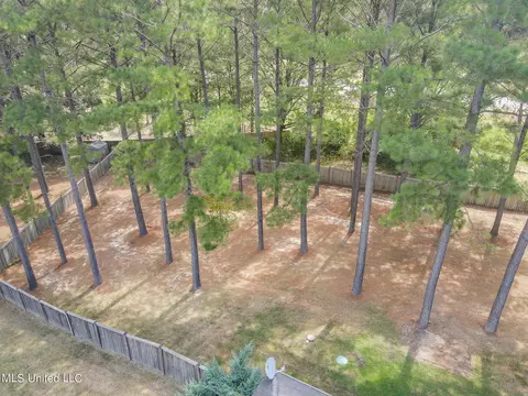 204 Kitty Hawk Cir, Brandon, MS 39047 photo 51