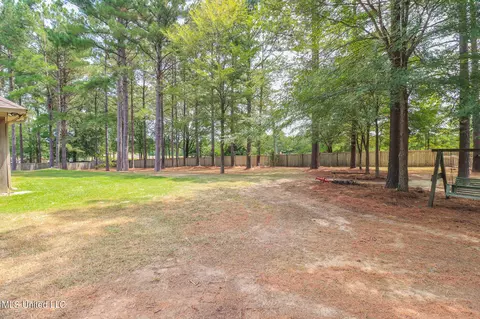 204 Kitty Hawk Cir, Brandon, MS 39047 photo 48