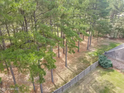204 Kitty Hawk Cir, Brandon, MS 39047 photo 52
