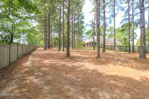 204 Kitty Hawk Cir, Brandon, MS 39047 photo 50