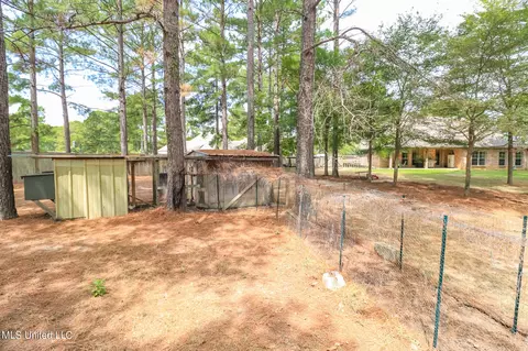 204 Kitty Hawk Cir, Brandon, MS 39047 photo 49