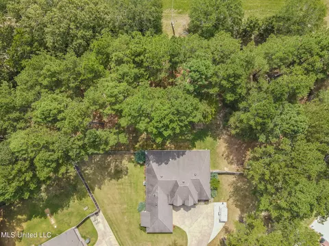 204 Kitty Hawk Cir, Brandon, MS 39047 photo 53