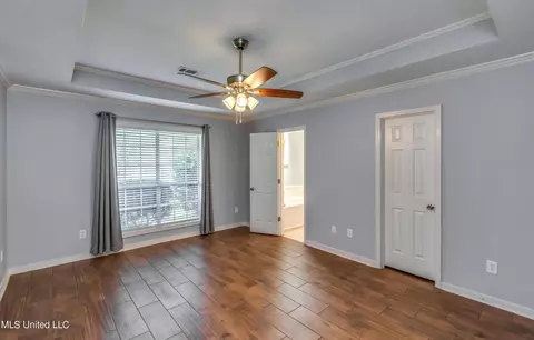 453 Treles Dr, Madison, MS 39110 photo 32