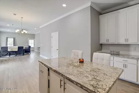 828 Long Leaf Cir, Brandon, MS 39042 photo 10
