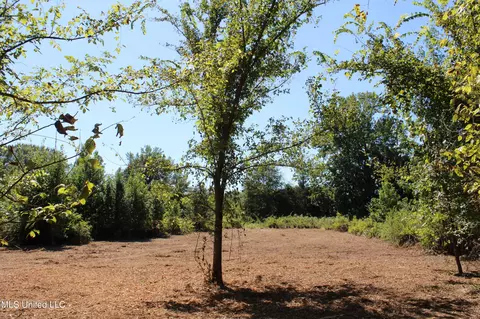 400 Echols Rd, Byhalia, MS 38611