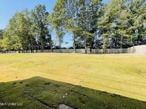 3889 Fieldstream Dr, Olive Branch, MS 38654 photo 2