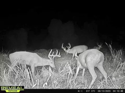 0001 Willow Rd, Hermanville, MS 39086