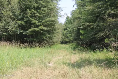 306 Walnut Road Rd, Canton, MS 39046 photo 29