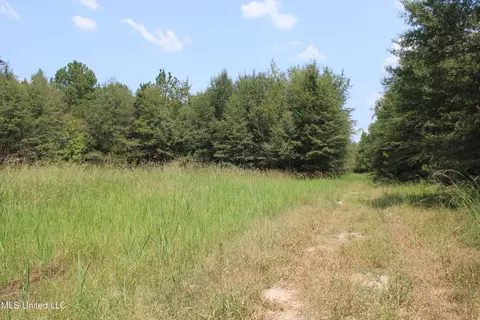 306 Walnut Road Rd, Canton, MS 39046 photo 30