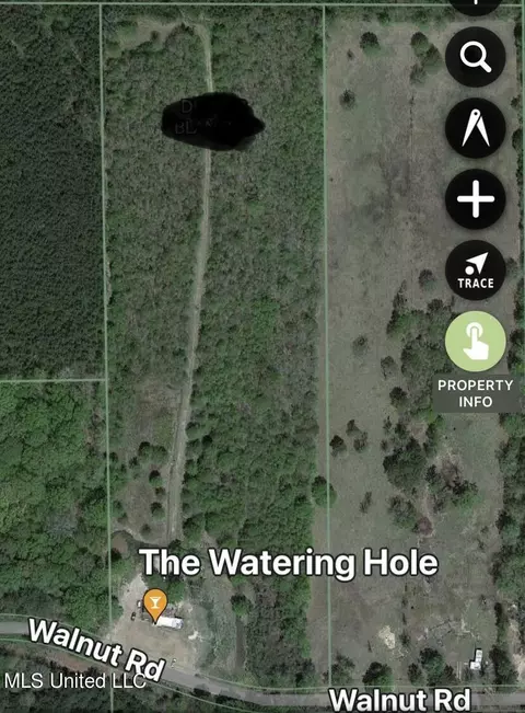 306 Walnut Road Rd, Canton, MS 39046 photo 31