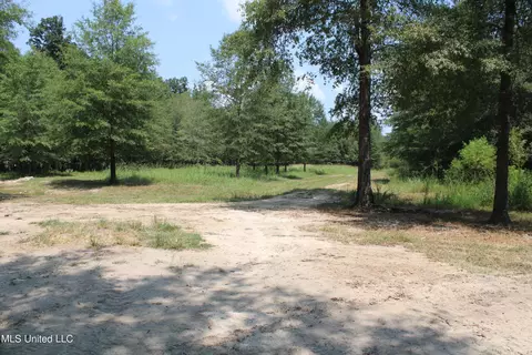 306 Walnut Road Rd, Canton, MS 39046 photo 23