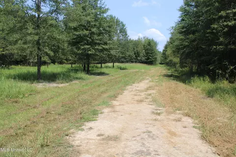 306 Walnut Road Rd, Canton, MS 39046 photo 26