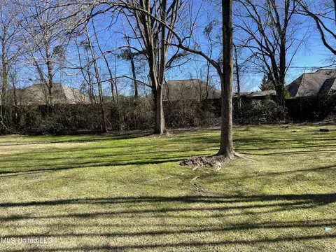 121 Alicia May Dr, Brandon, MS 39042
