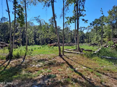 1225 Us-98, Lucedale, MS 39452 photo 27