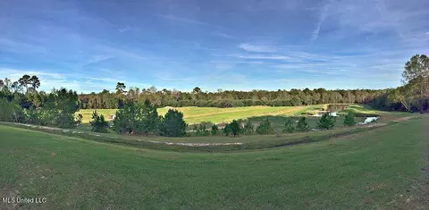 658 Owen Boone Rd, Puckett, MS 39042