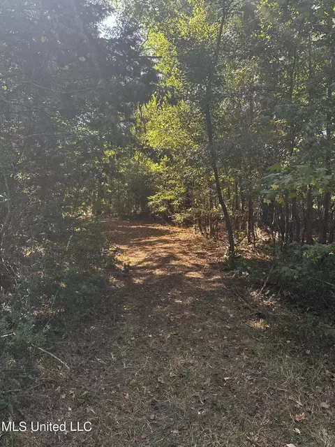 Roberts Road, Canton, MS 39046