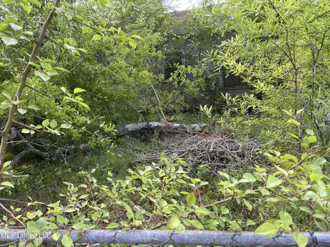 0 Henderson Rd, Byram, MS 39272