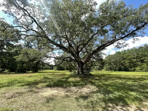 17 Hammock Rd, Carriere, MS 39426