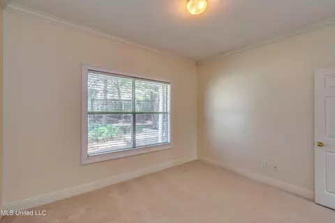 104 Indigo Ct, Madison, MS 39110 photo 17