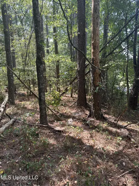 0 Holliday Trce, Raymond, MS 39154 photo 7