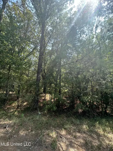 0 Holliday Trce, Raymond, MS 39154 photo 8