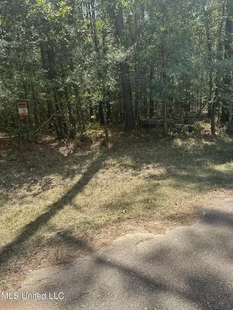 0 Holliday Trce, Raymond, MS 39154 photo 2