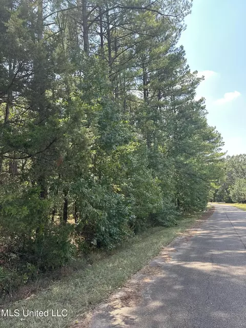 0 Holliday Trce, Raymond, MS 39154