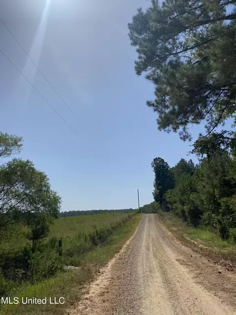 0 Ben Chapman Rd, Brandon, MS 39042 photo 9