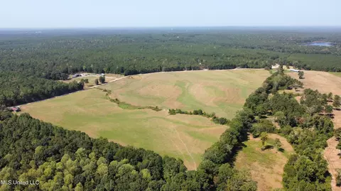 0 Ben Chapman Rd, Brandon, MS 39042 photo 21