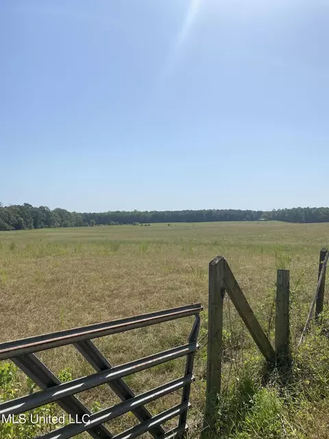 0 Ben Chapman Rd, Brandon, MS 39042 photo 11