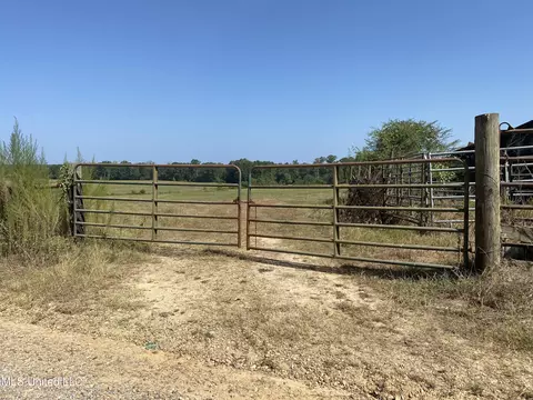 0 Ben Chapman Rd, Brandon, MS 39042 photo 3