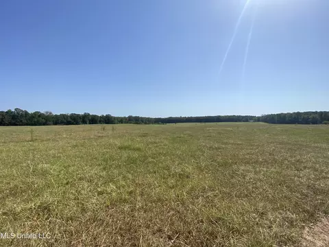 0 Ben Chapman Rd, Brandon, MS 39042 photo 14