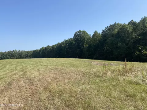0 Ben Chapman Rd, Brandon, MS 39042 photo 5